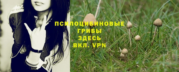 эйфоретик Балахна