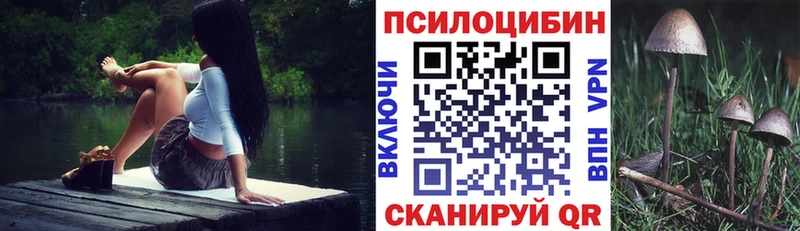 мориарти состав  закладки  Кулебаки  Галлюциногенные грибы Psilocybe 